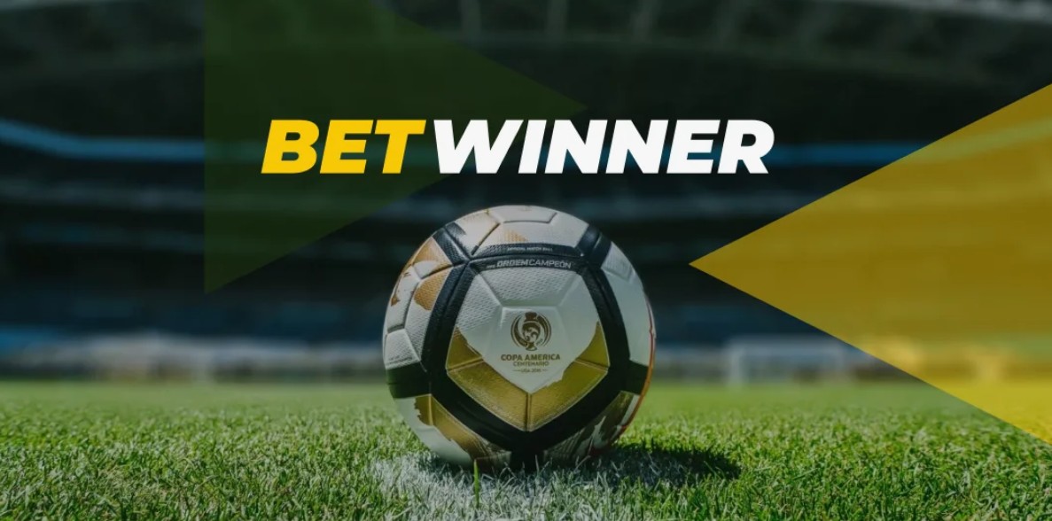 Explore the Excitement of Betwinner Casino Explore the Excitement of Betwinner Casino